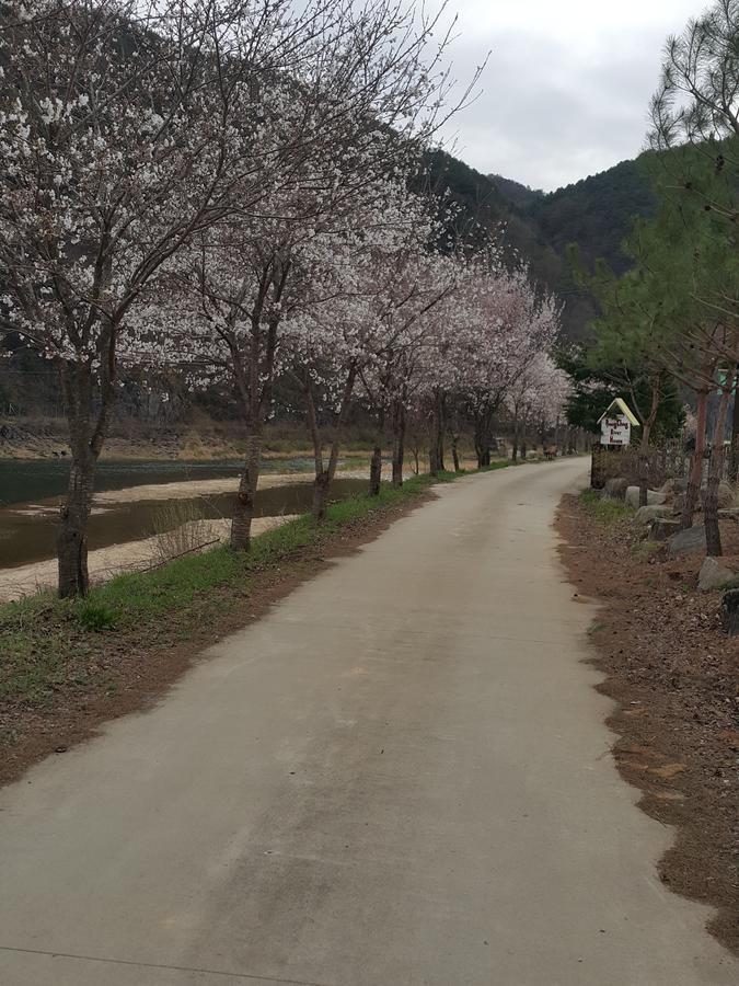 Pyeongchang River House Екстер'єр фото